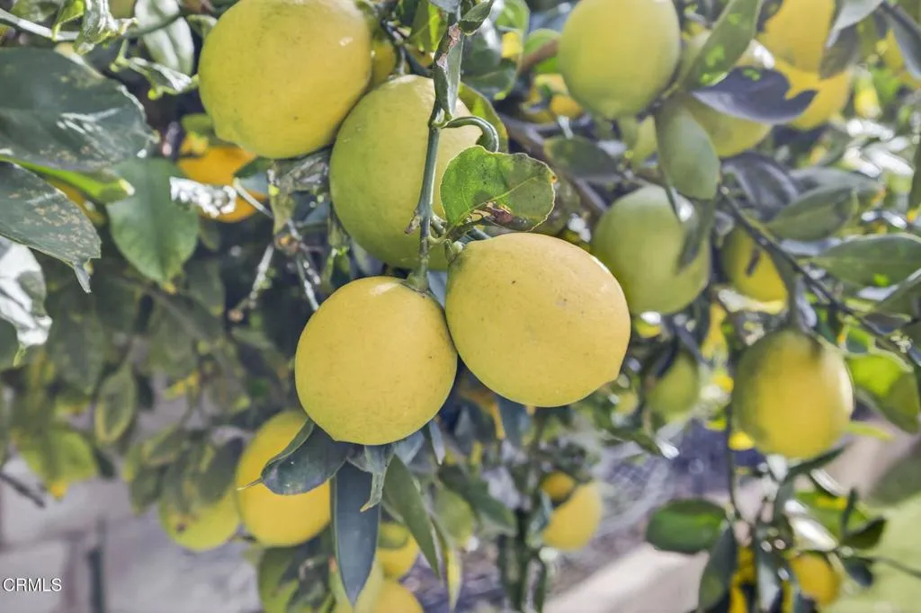 Additional image 68 of 1636 Earl Avenue, Simi Valley, CA 93065