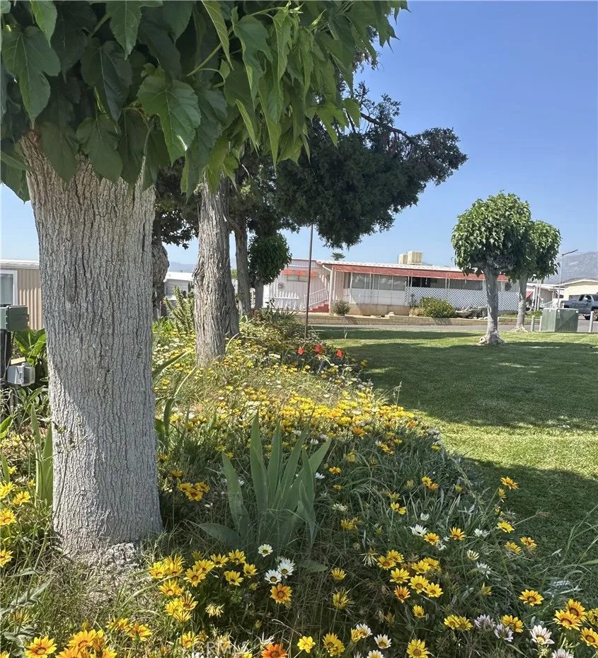 Additional image 51 of 950 California Street Unit 60, Calimesa, CA 92320