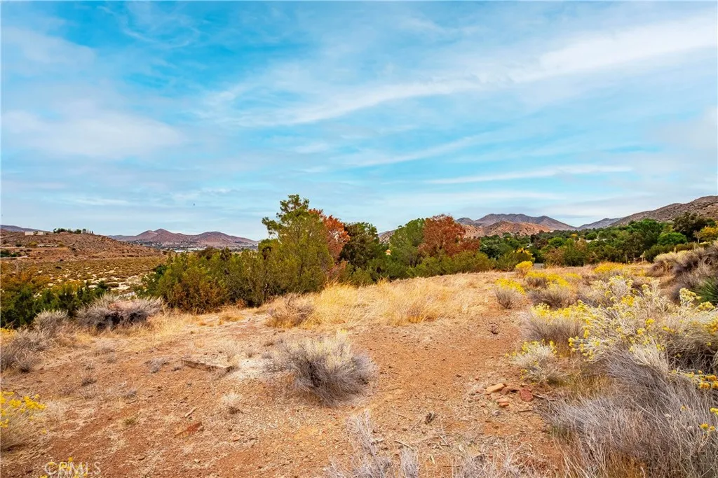 Additional image 49 of 31741 Lake Meadow Rd, Acton, CA 93510