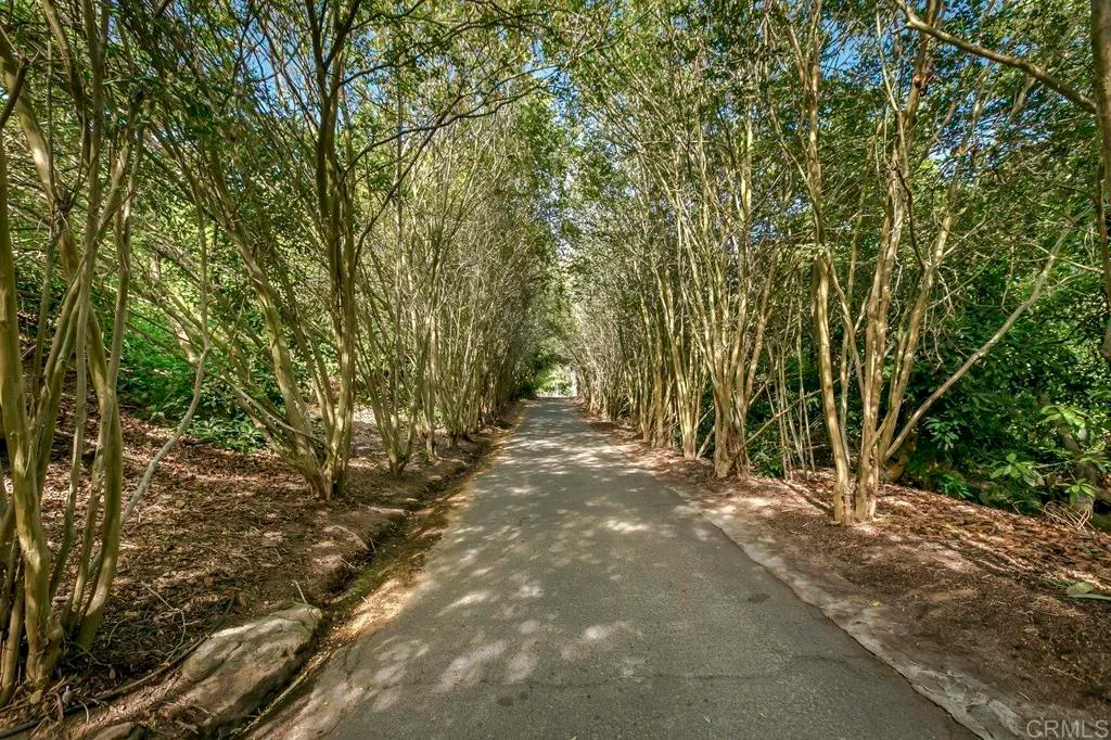 Additional image 90 of 6036 Rainbow Heights Road, Fallbrook, CA 92028