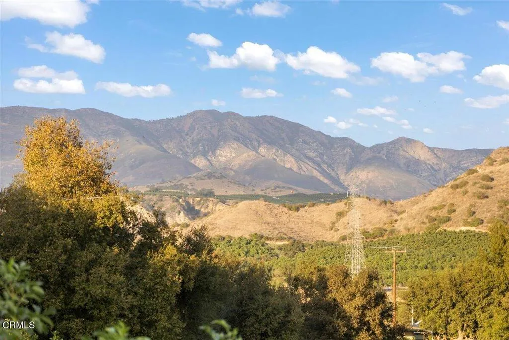 Additional image 22 of 1307 Mariposa Drive, Santa Paula, CA 93060