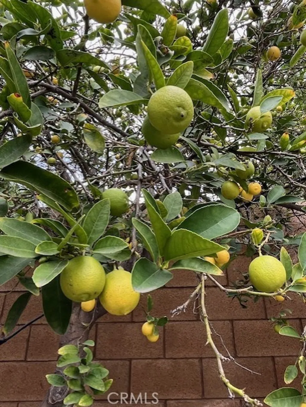 8640 Westman Ave, Whittier, CA 90606