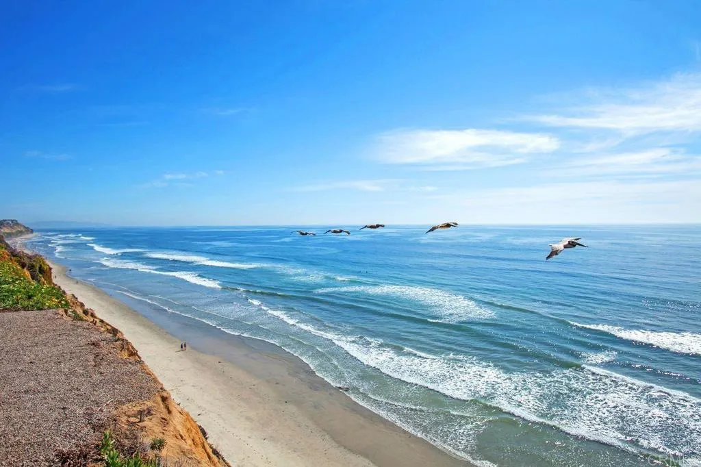Additional image 52 of 406 Paseo Pacifica, Encinitas, CA 92024
