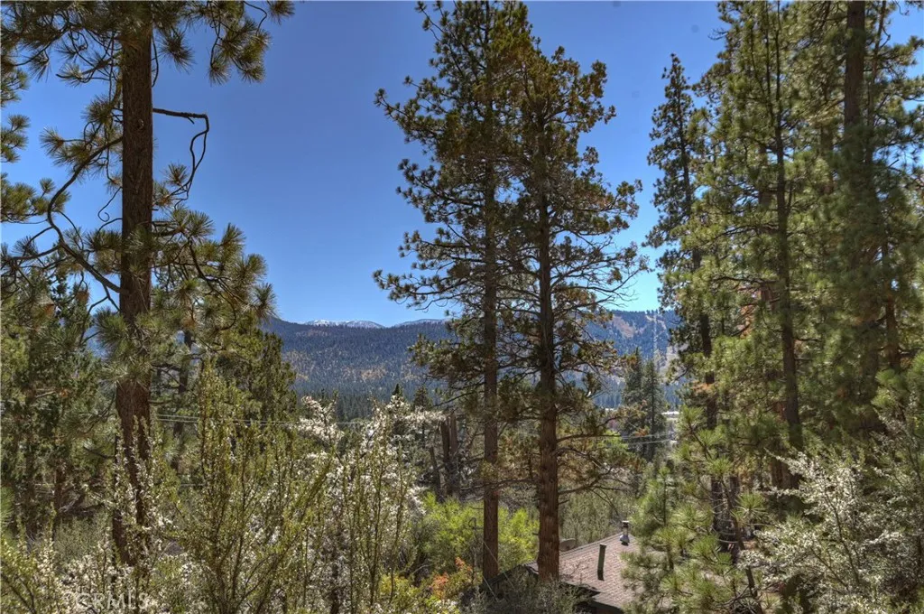 Additional image 68 of 29 Lakeview, Fawnskin, CA 92333