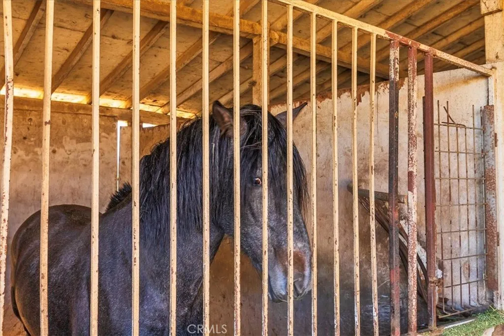 Additional image 38 of 22695 Margarth Street, Perris, CA 92570