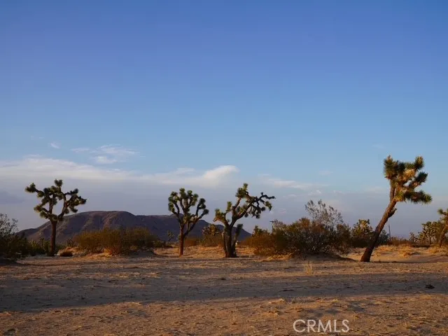 Additional image 123 of 1001 Gibralter Road, Landers, CA 92285