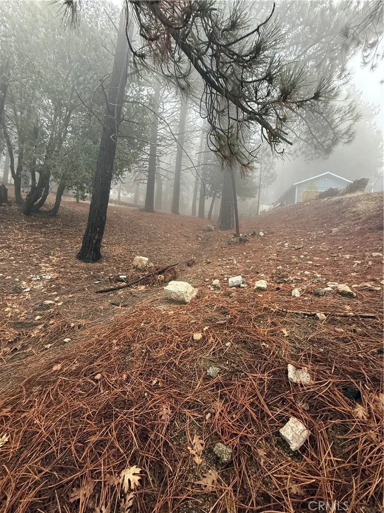 Additional image 20 of Poplar, Running Springs, CA 92382