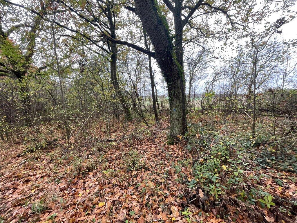 Additional image 6 of Land At Largess Spring, Cheveralls Green, Markyate