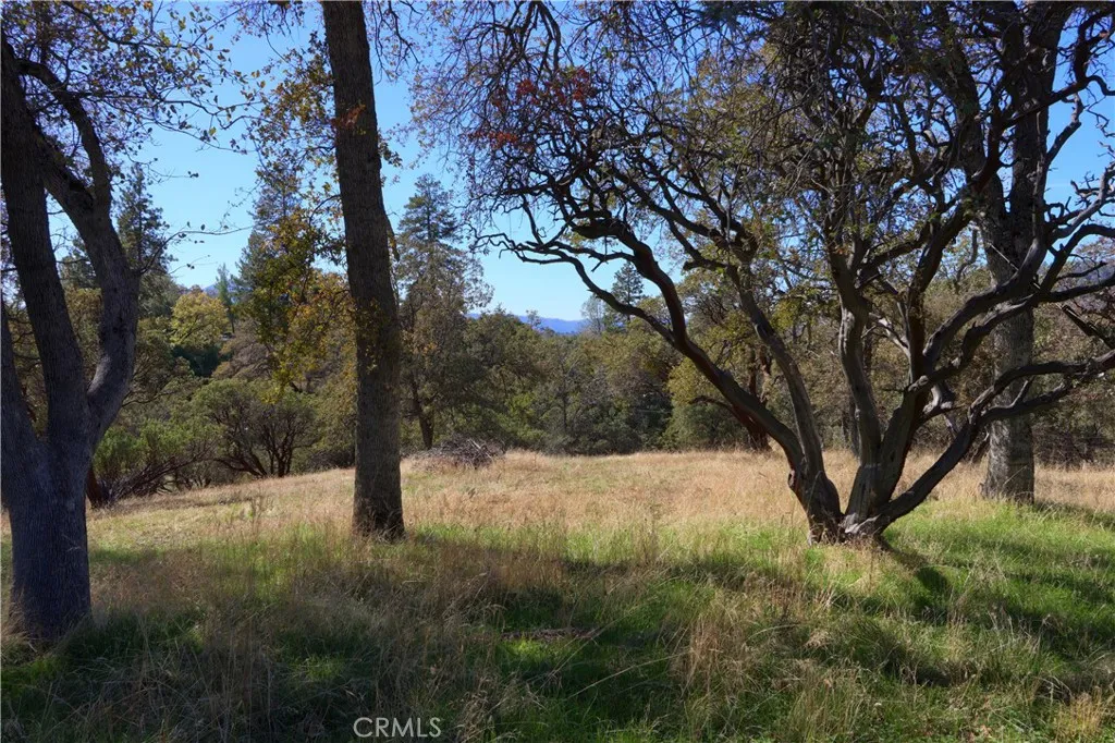 Additional image 60 of 42997 E Mountain View Lane, Oakhurst, CA 93644