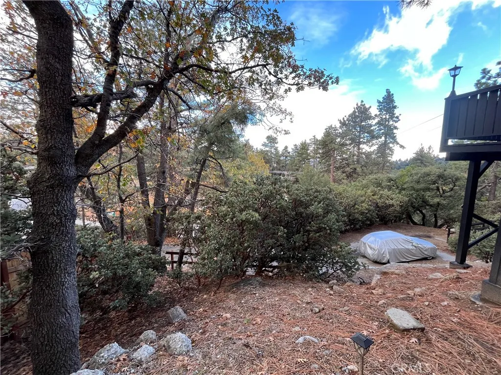 Additional image 93 of 24875 Marion Ridge Drive, Idyllwild, CA 92549