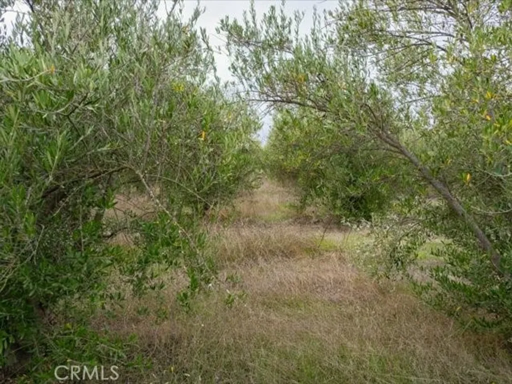 Additional image 43 of 5287 Barham Avenue, Corning, CA 96021