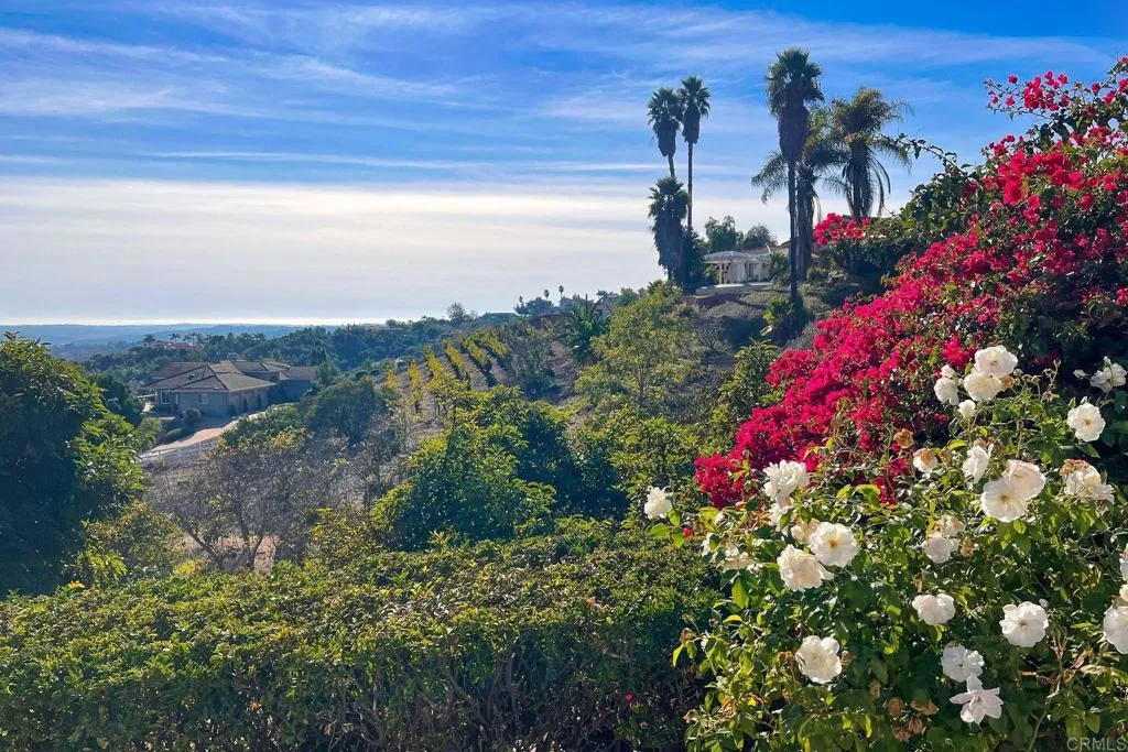 Additional image 43 of 2644 Dos Lomas, Fallbrook, CA 92028