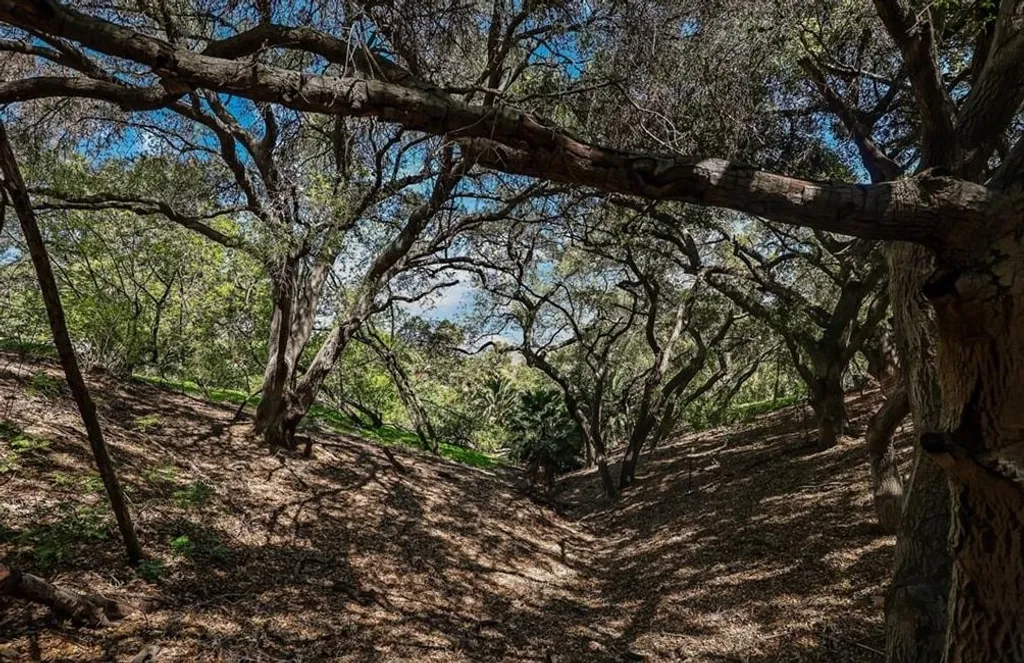 Additional image 10 of 2222 Carbon Canyon Road, Chino Hills, CA 91709