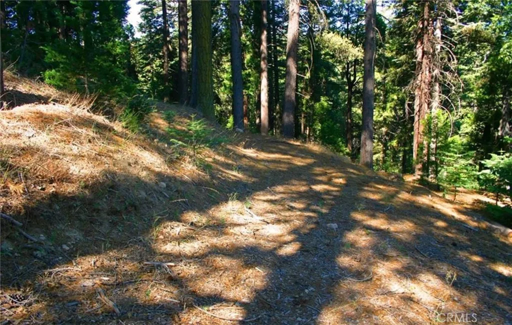 Additional image 29 of 525 Ca-173, Lake Arrowhead, CA 92352