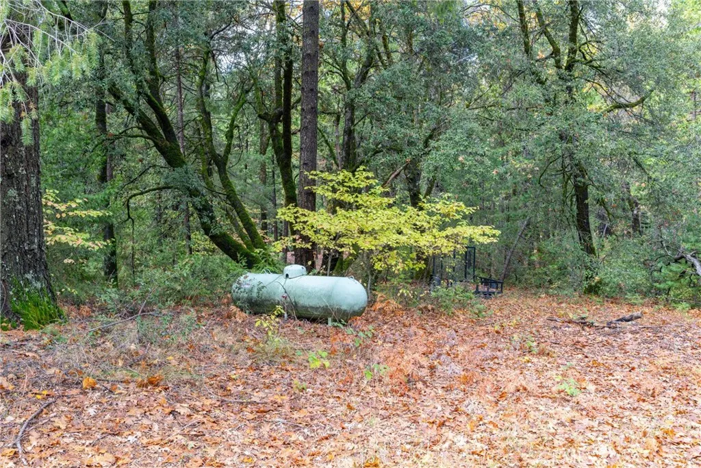 Additional image 116 of 16376 Stage Road, Forest Ranch, CA 95942