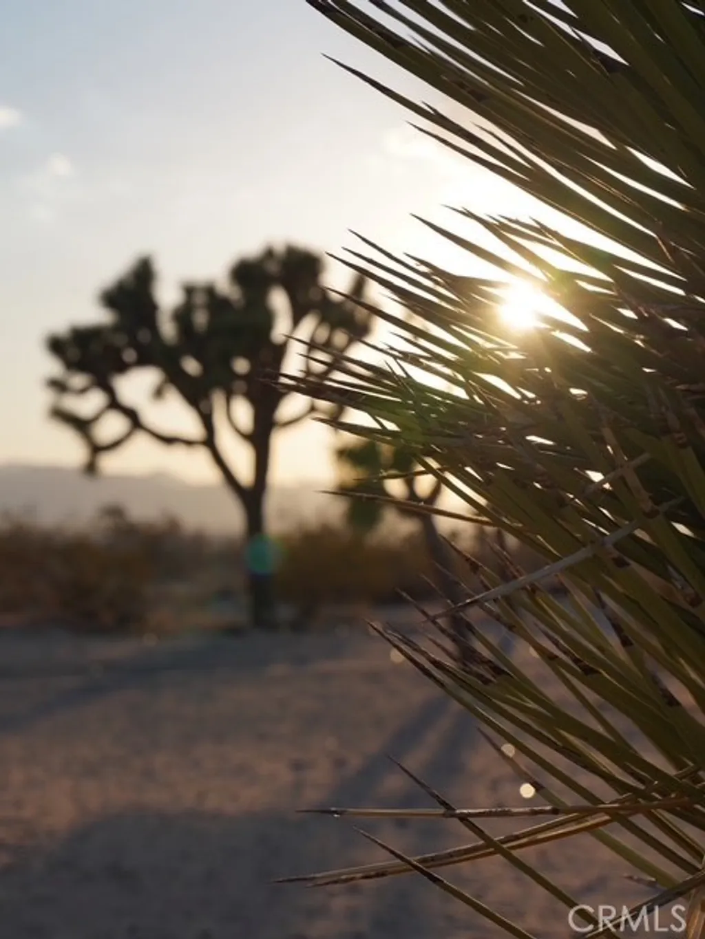 Additional image 51 of 1001 Gibralter Road, Landers, CA 92285