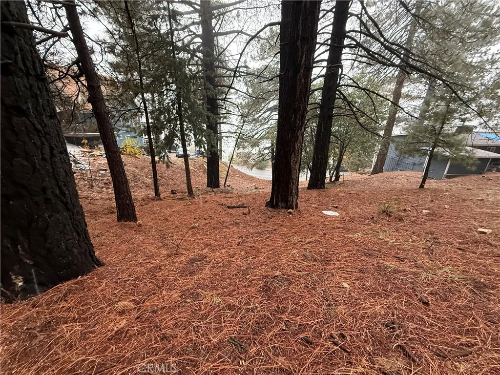 Additional image 17 of Poplar, Running Springs, CA 92382