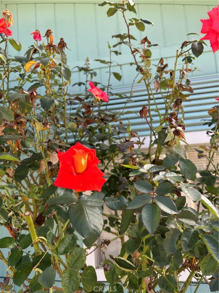 Additional image 32 of 5277 Highway 49 N Unit 79, Mariposa, CA 95338