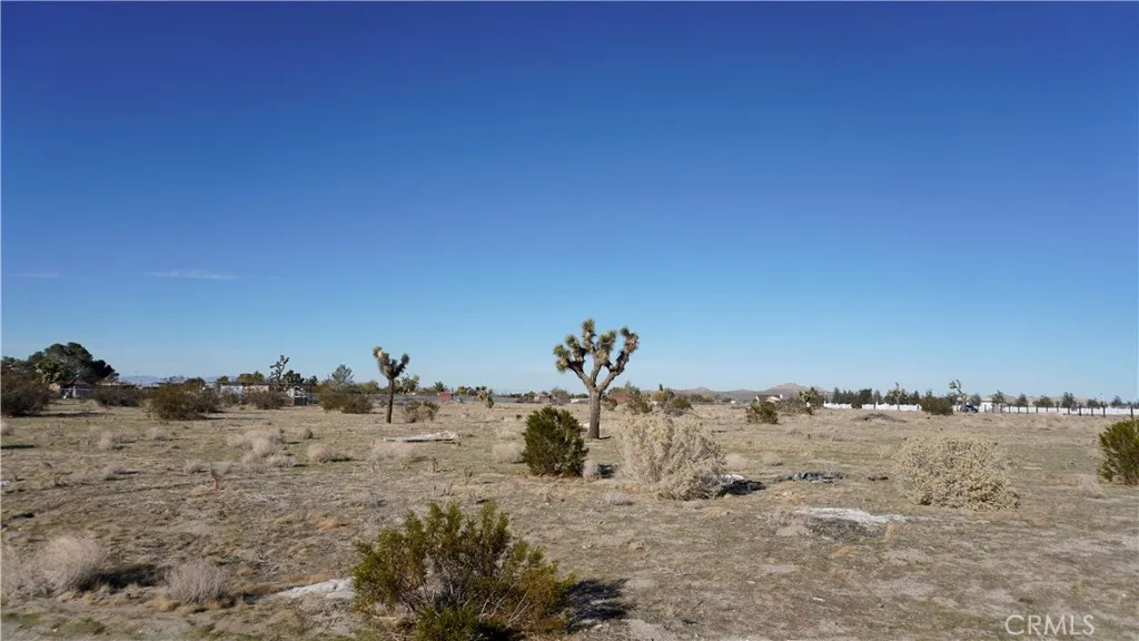 Additional image 18 of 118th, Sun Village, CA 93543