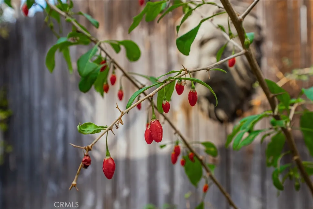 Additional image 42 of 6580 Lake St, Riverside, CA 92503