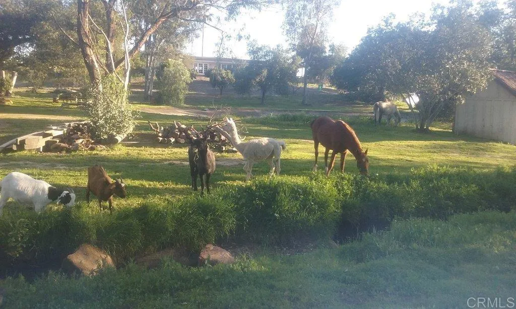 Additional image 2 of 6490 Rainbow Heights Road, Fallbrook, CA 92028