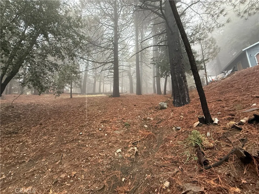 Additional image 23 of Poplar, Running Springs, CA 92382