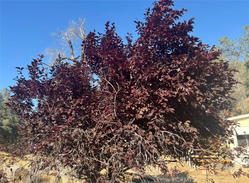 Additional image 16 of 18266 Caliente Creek Road, Caliente, CA 93518