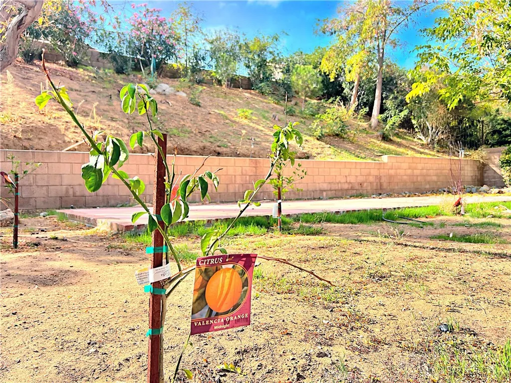 Additional image 111 of 4544 Sungate Drive N, Palmdale, CA 93551