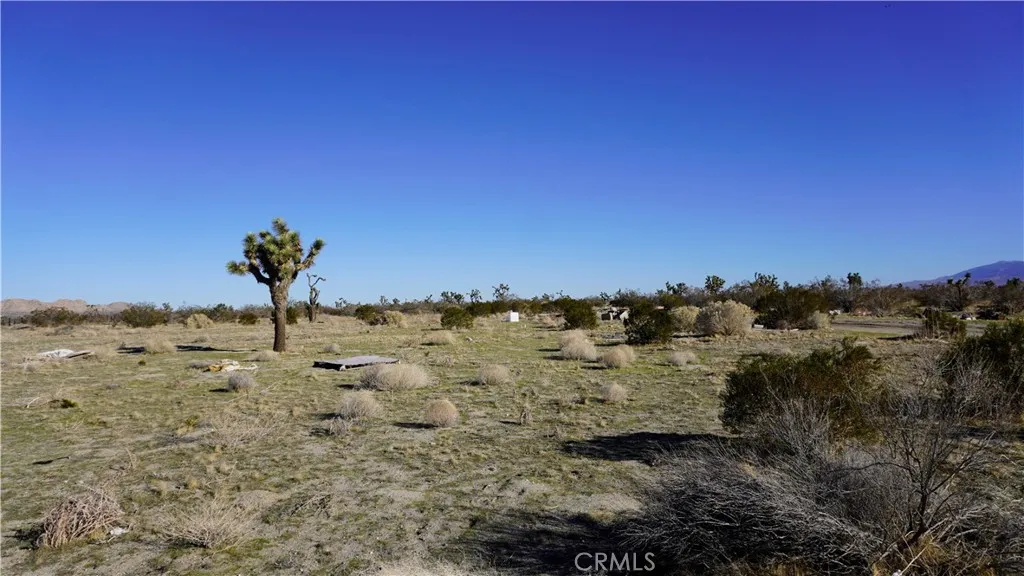 Additional image 17 of 118th, Sun Village, CA 93543