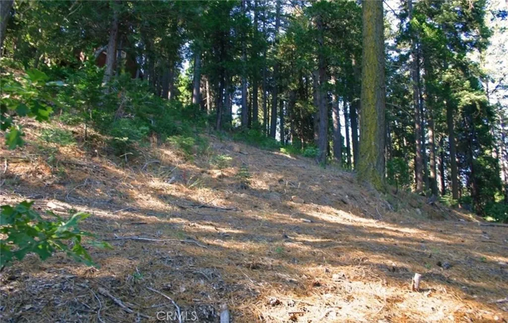Additional image 31 of 525 Ca-173, Lake Arrowhead, CA 92352