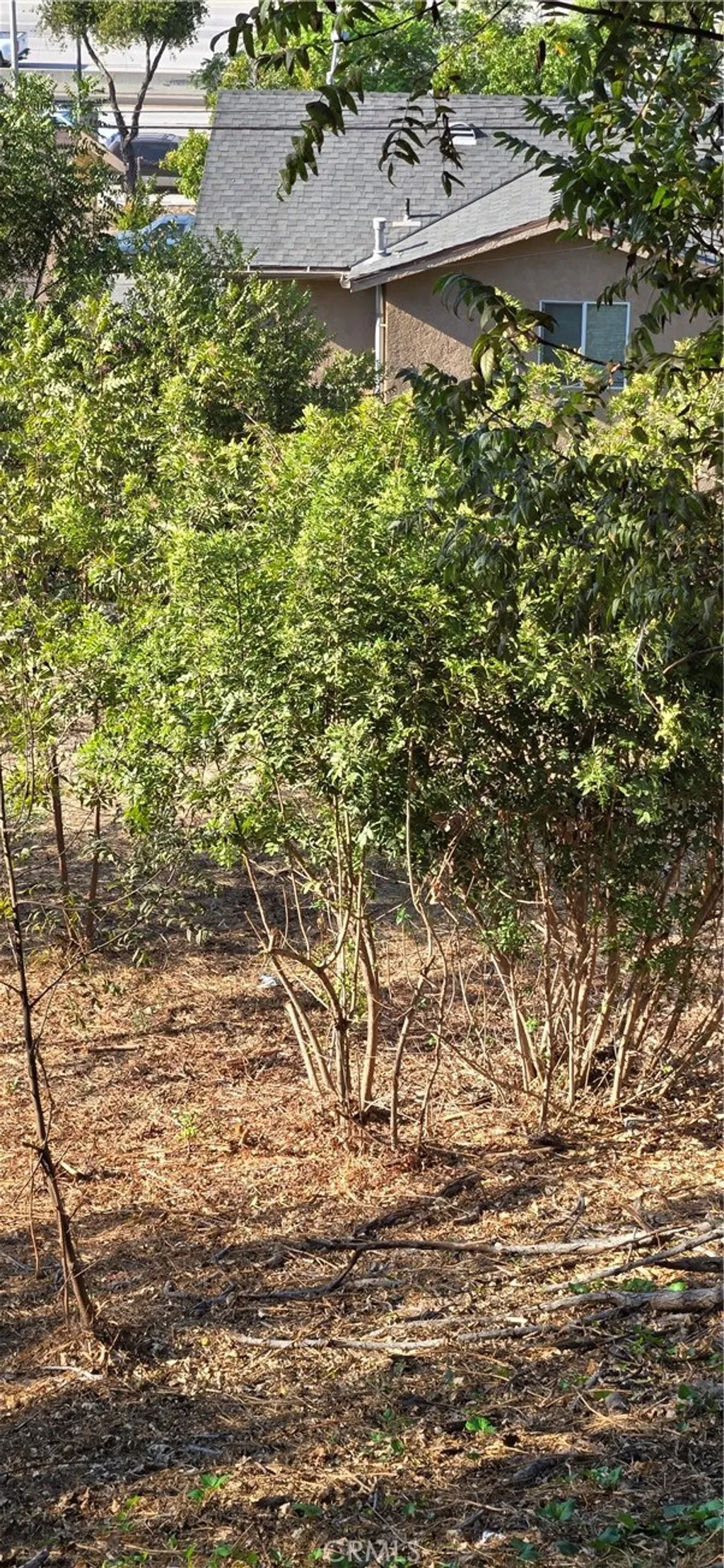 Additional image 4 of 3717 Woolwine Drive, City Terrace, CA 90063