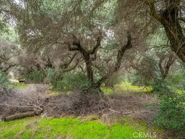 Additional image 113 of 5287 Barham Avenue, Corning, CA 96021