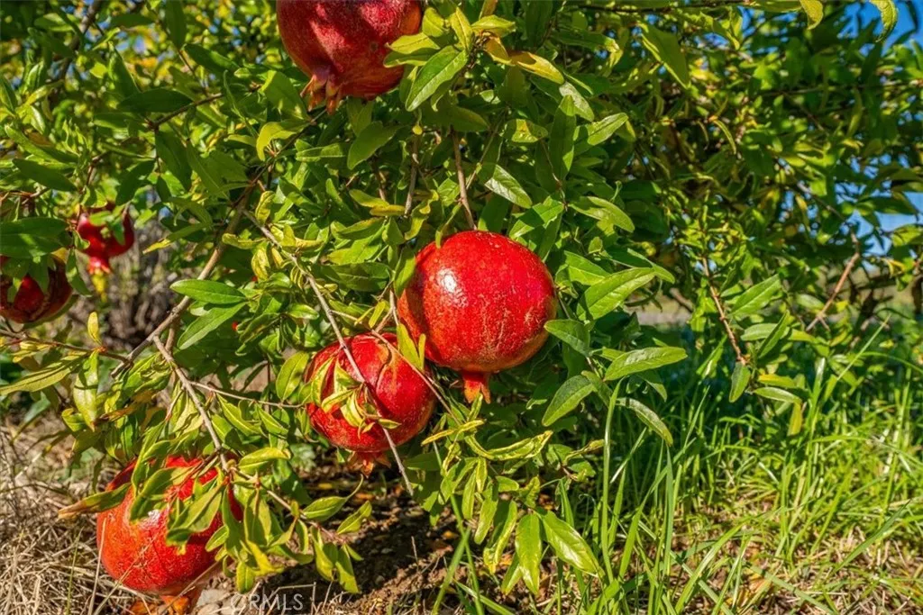 Additional image 68 of 22319 O, Corning, CA 96021