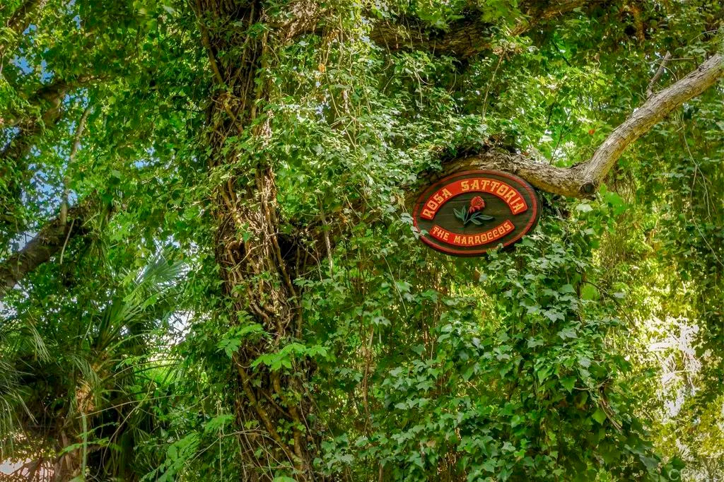 Additional image 52 of 6036 Rainbow Heights Road, Fallbrook, CA 92028