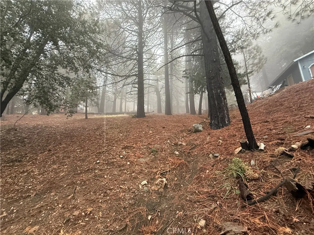 Additional image 16 of Poplar, Running Springs, CA 92382