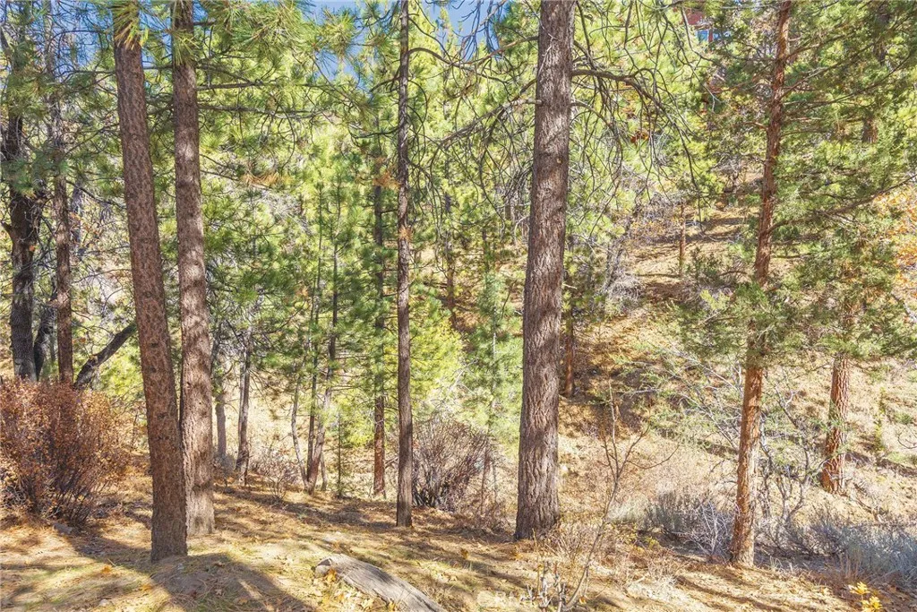 Additional image 35 of 1200 Minton Drive, Big Bear City, CA 92314