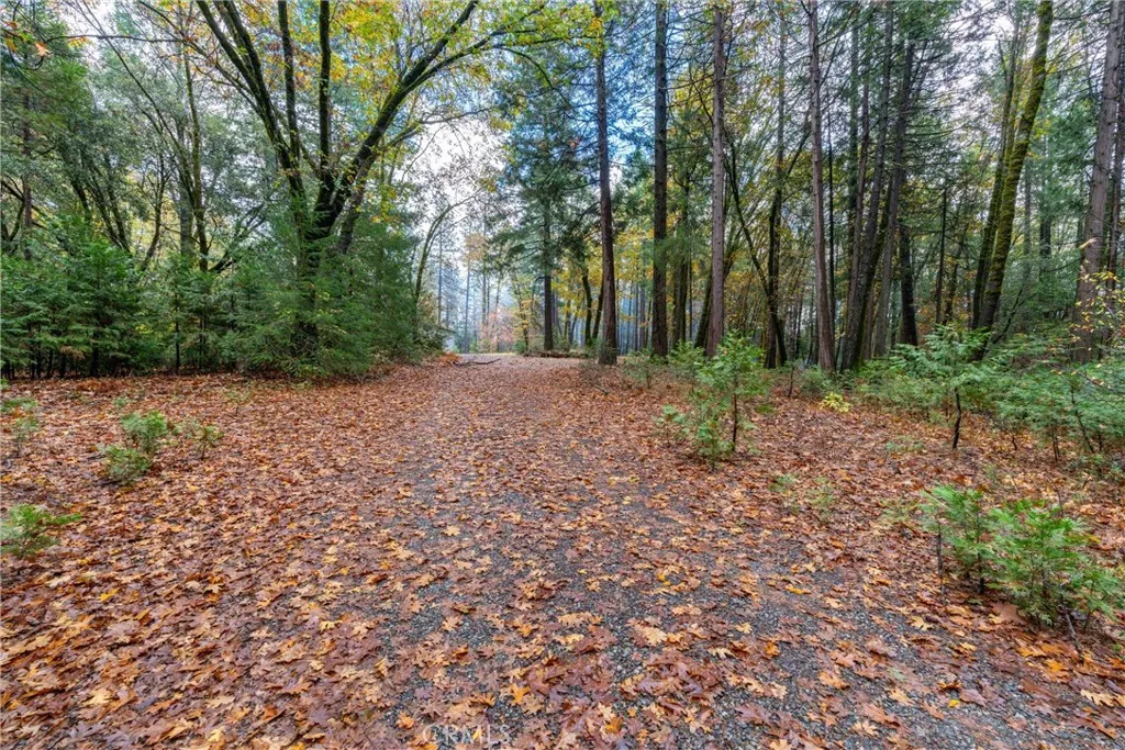 Additional image 106 of 16376 Stage Road, Forest Ranch, CA 95942