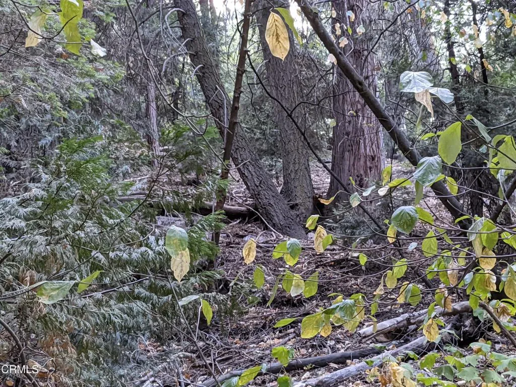 Additional image 19 of Fleming Creek, Lake Arrowhead, CA 92352