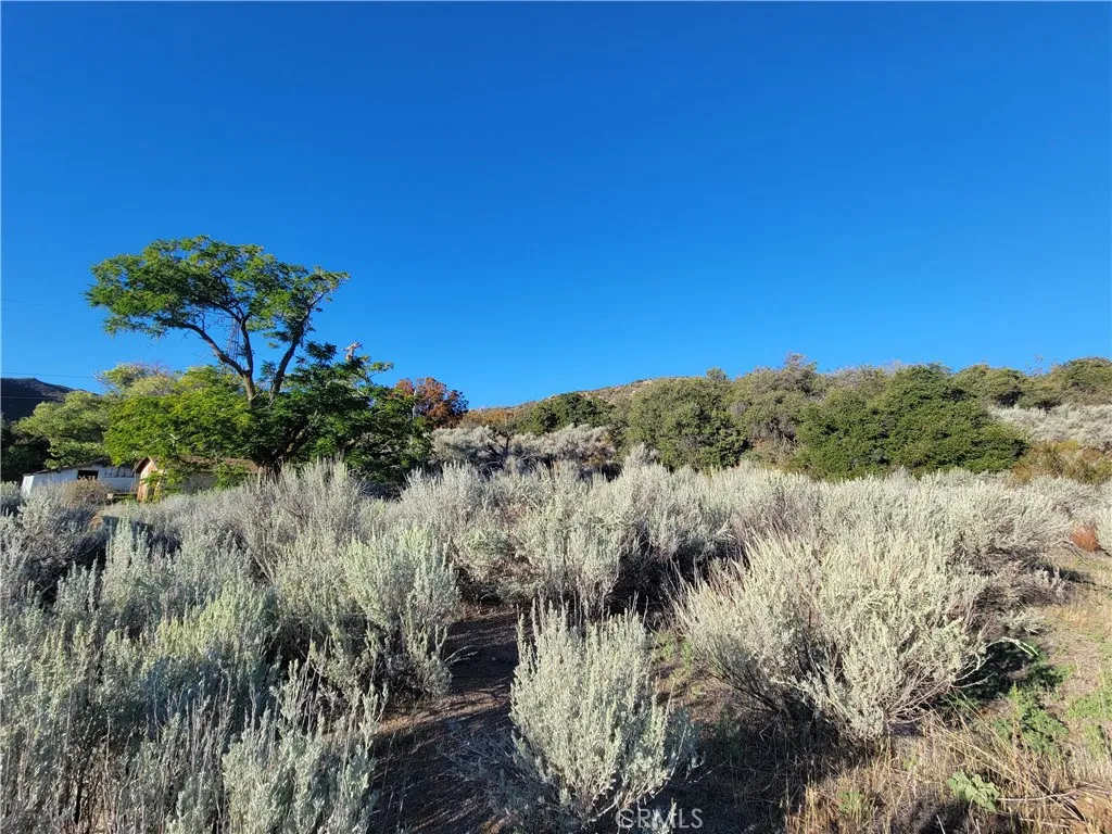 Additional image 85 of 44451 Jay Dr, Anza, CA 92539