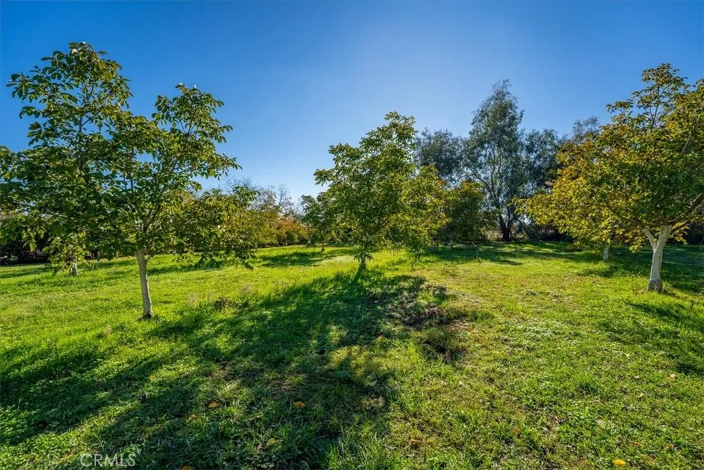 Additional image 50 of 22319 O, Corning, CA 96021