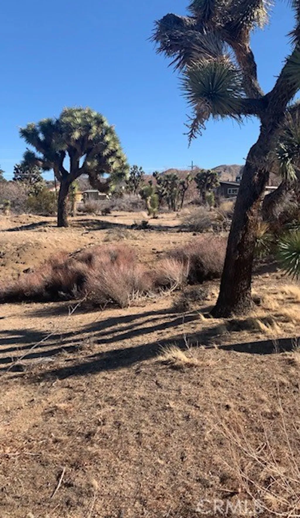 Additional image 5 of 8001 Aster Ave, Yucca Valley, CA 92284