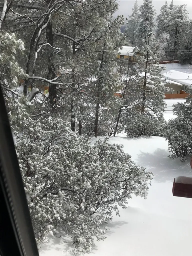 Additional image 84 of 24875 Marion Ridge Drive, Idyllwild, CA 92549