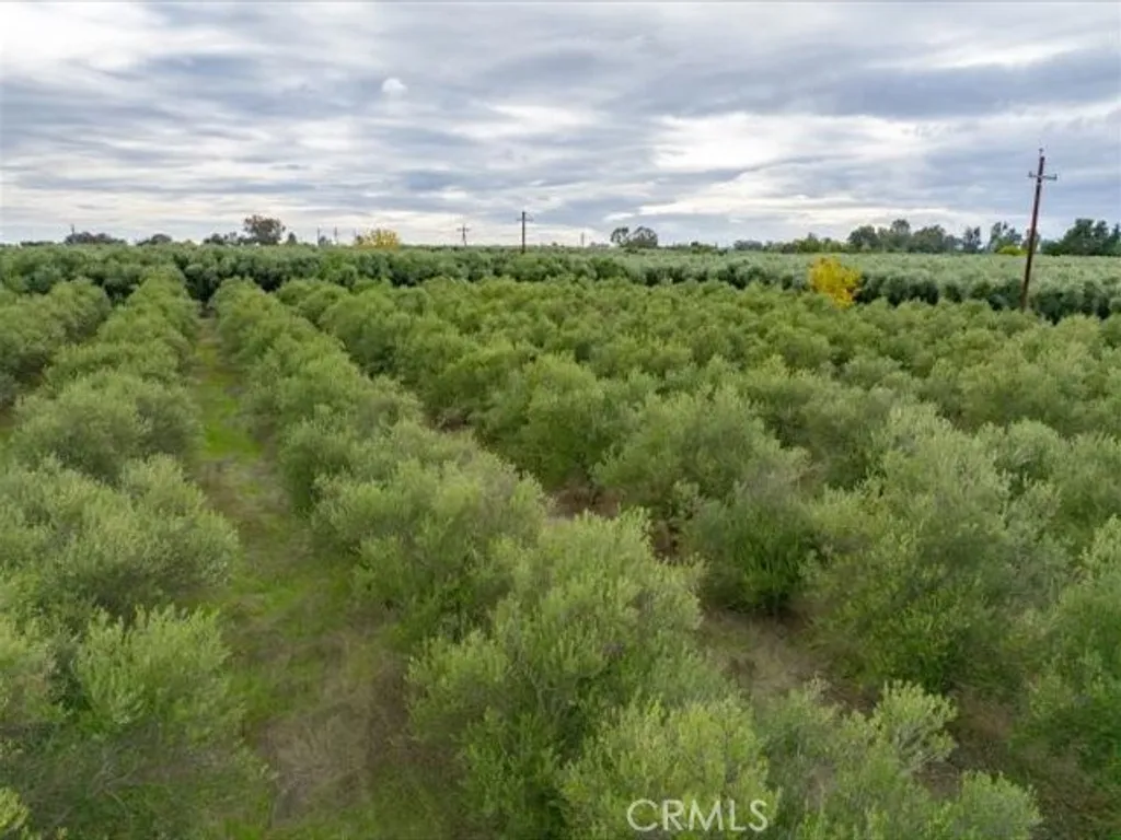 Additional image 36 of 5287 Barham Avenue, Corning, CA 96021