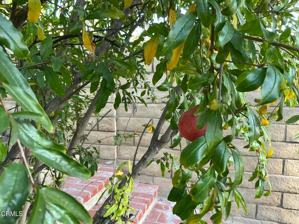 Additional image 100 of 13687 Blue Ridge Way, Moorpark, CA 93021