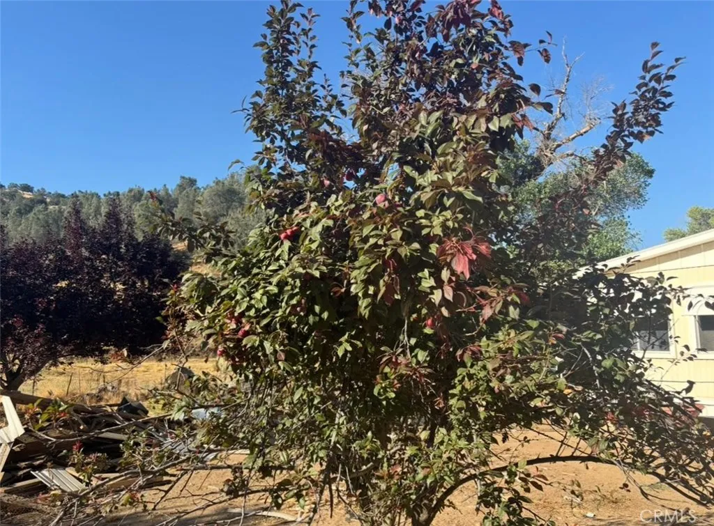 Additional image 15 of 18266 Caliente Creek Road, Caliente, CA 93518