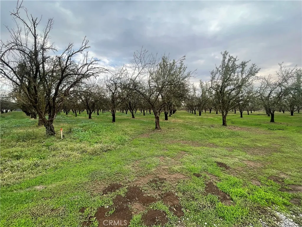 Additional image 71 of 3095 Chico River Road, Chico, CA 95928