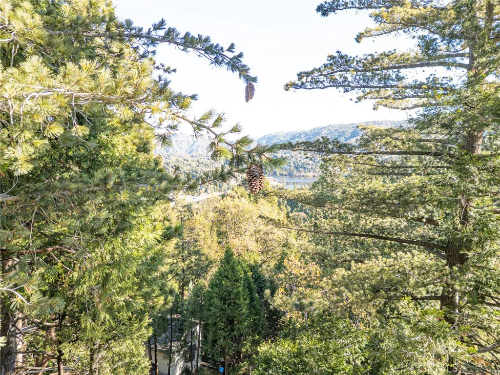 Additional image 89 of 999 Mercury Way, Crestline, CA 92325