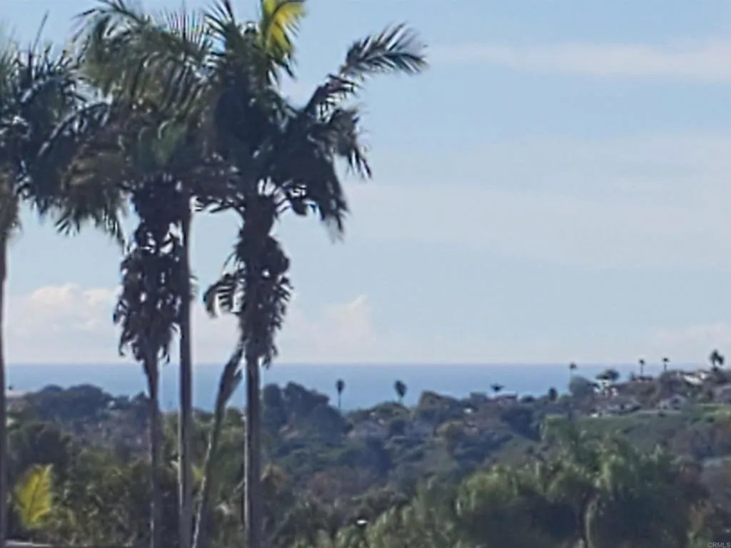 Additional image 70 of 3485 Corvallis St, Carlsbad, CA 92010