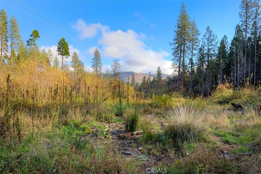 Additional image 39 of 13159 Mullen Way, Oroville, CA 95965