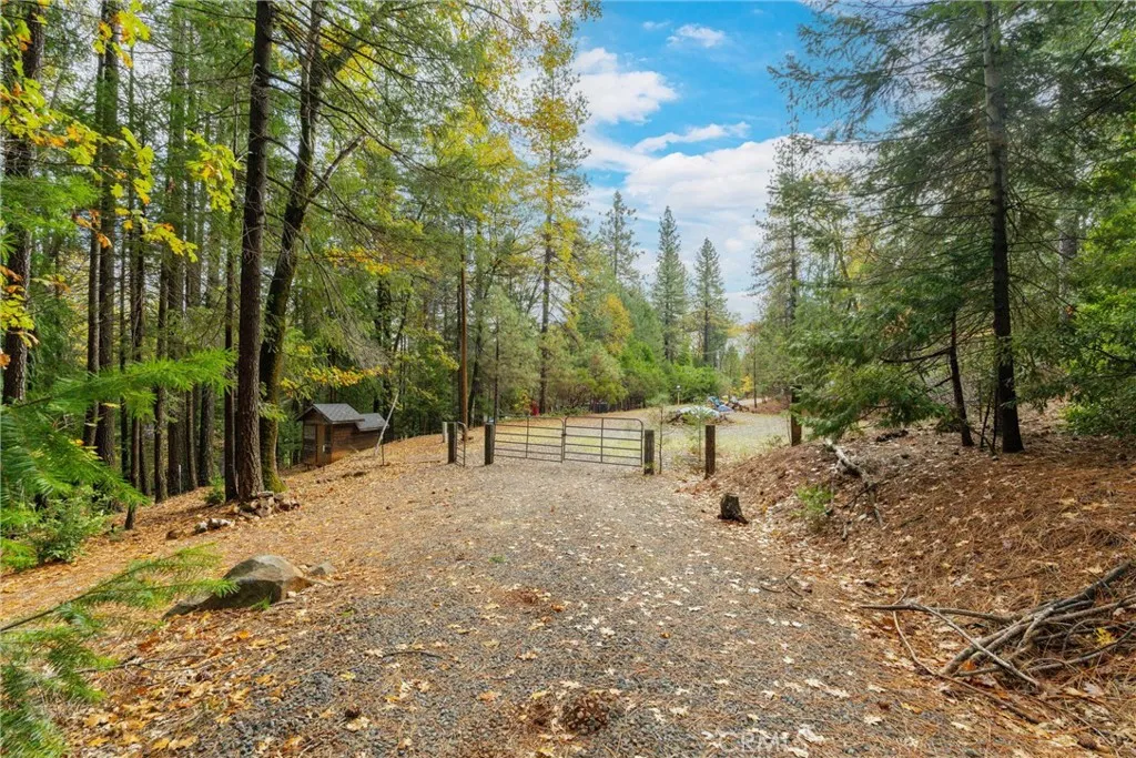 Additional image 131 of 16376 Stage Road, Forest Ranch, CA 95942